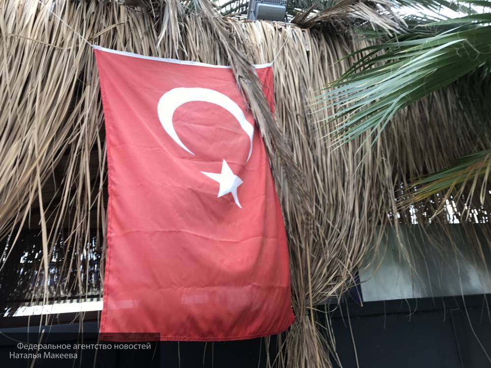 Турция получила от террористов ПНС Ливии официальный запрос на военную помощь