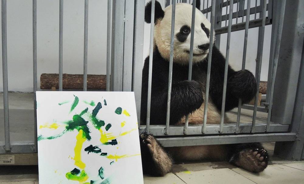 Нарисованные пандами Московского зоопарка картины представят на выставке