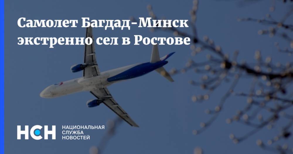 Самолет Багдад-Минск экстренно сел в Ростове