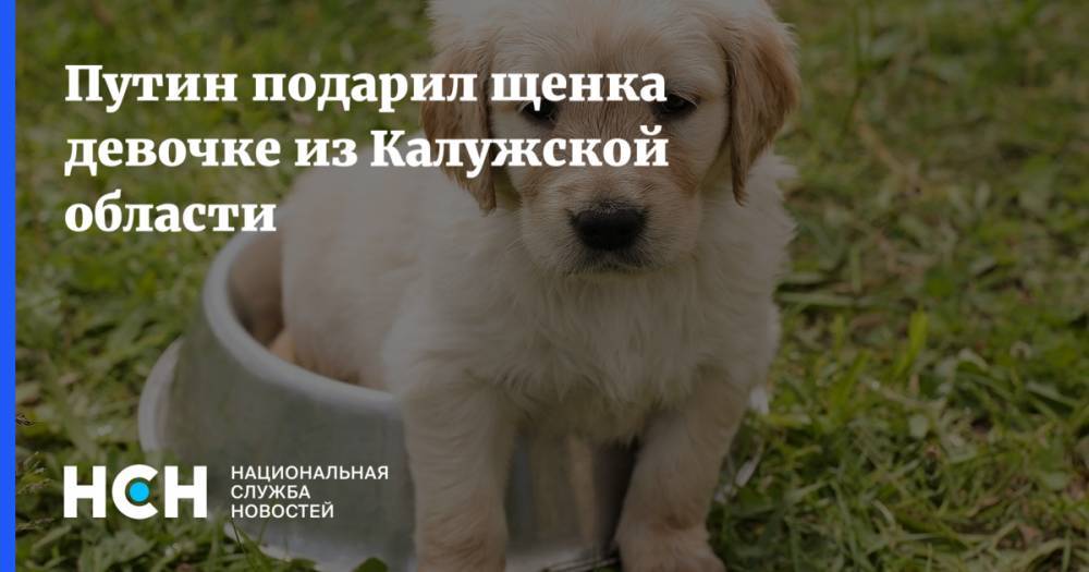 Путин подарил щенка девочке из Калужской области