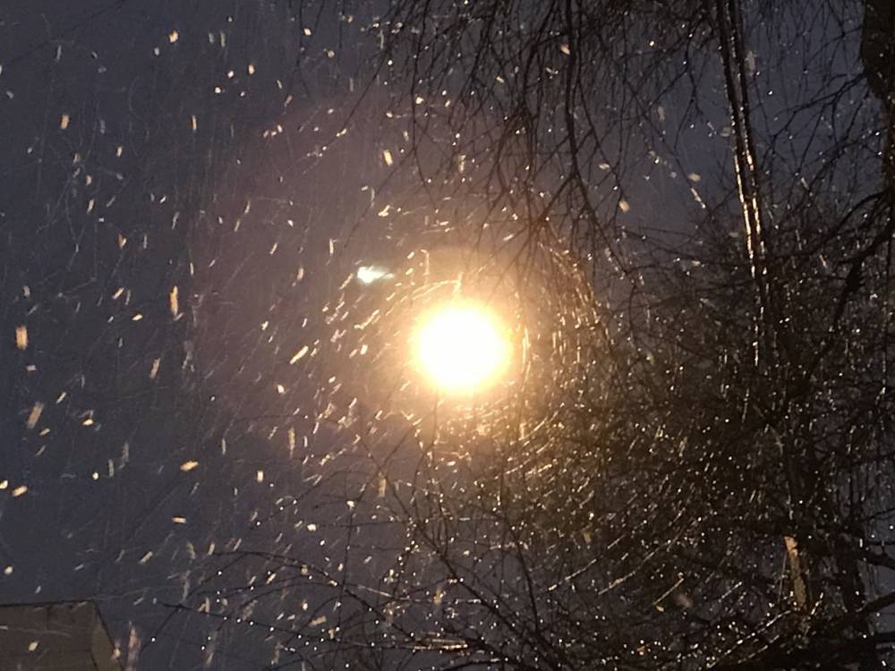 В Петербурге 28 декабря ночью выпадет немного снега