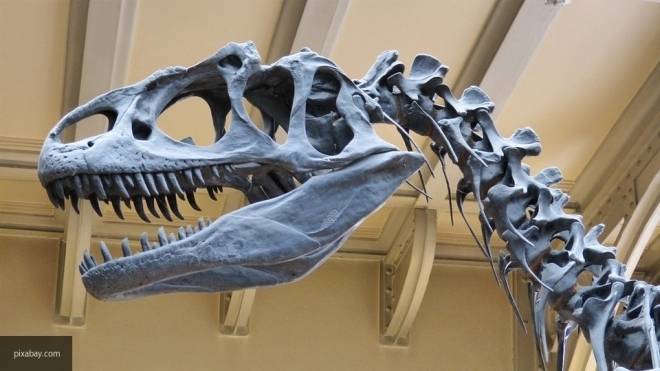 Ученые выяснили, что к вымиранию динозавров привело ртутное загрязнение воздуха