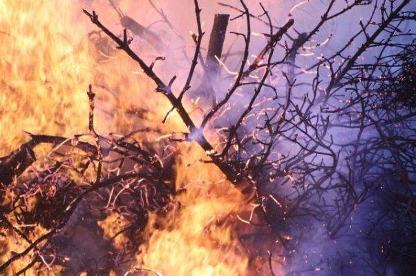 В Абхазии прошли дожди и лесные пожары погасли