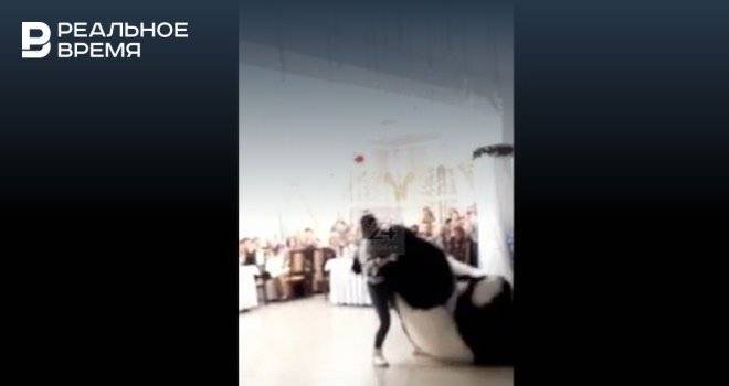 Житель Нижнекамска избил панду на корпоративе — видео