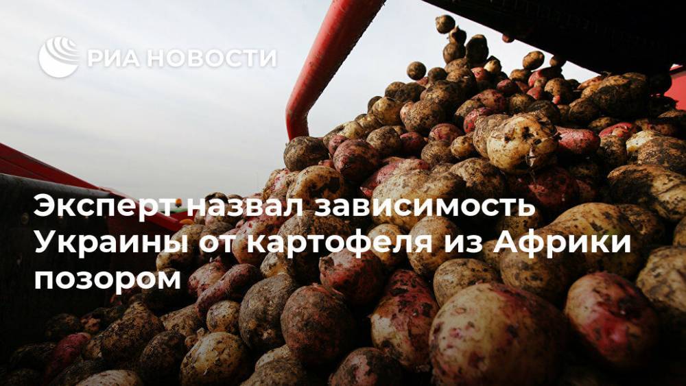 Эксперт назвал зависимость Украины от картофеля из Африки позором