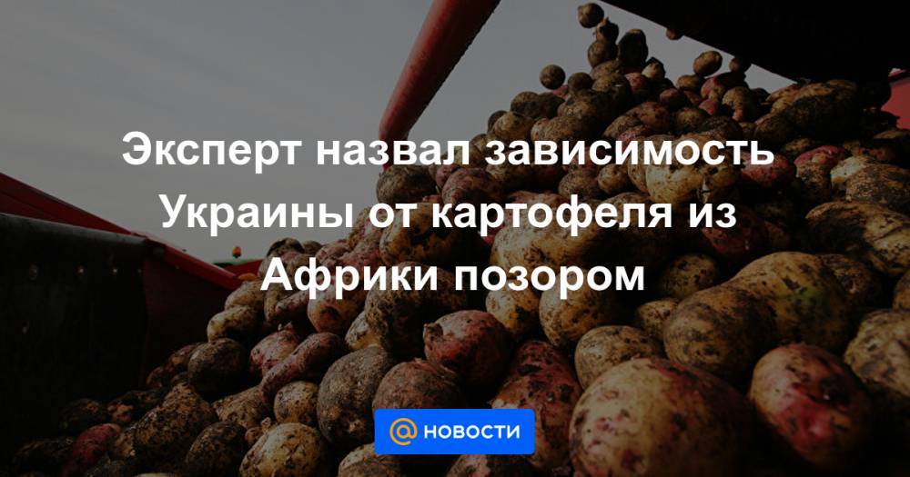 Эксперт назвал зависимость Украины от картофеля из Африки позором
