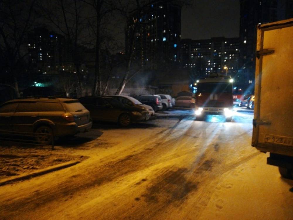 Спасатели менее получаса тушили гараж на Пулковской