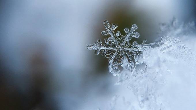 В Ленобласти похолодает до -7 градусов и выпадет снег