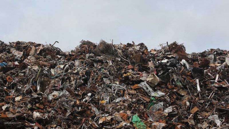 12 комплексов по переработке мусора строят на территории закрытых полигонов в Подмосковье
