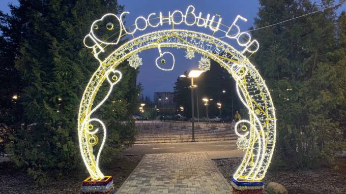 В Сосновом Бору в сквере установили новогоднюю арку