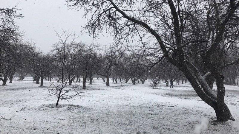 Снег завезли в столичный парк «Зарядье» в преддверии Нового года