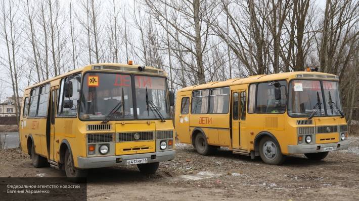 В Новгородской области школы получили 35 новых автобусов