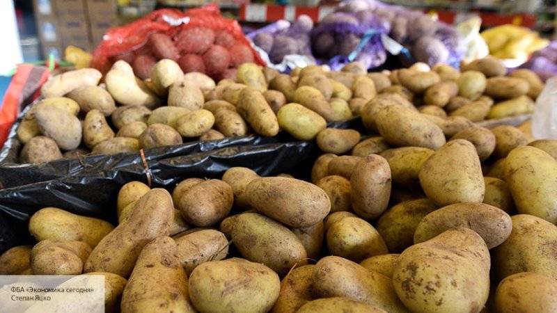 Эксперт объяснил, зачем Украина обратилась к Африке за картошкой