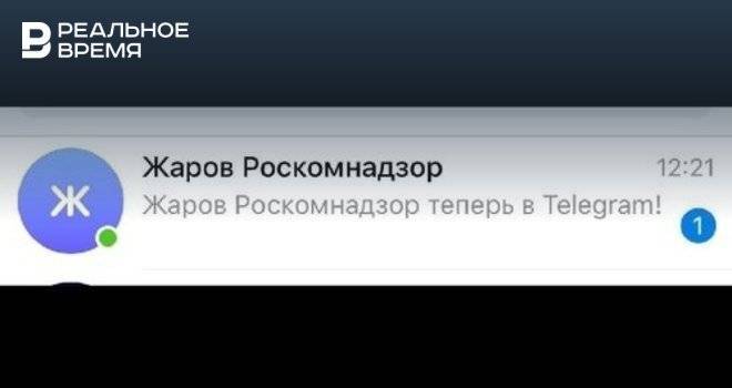 Симоньян рассказала о регистрации главы Роскомнадзора в Telegram