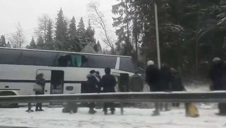 Появились кадры с места смертельной аварии с экскурсионным автобусом в Подмосковье