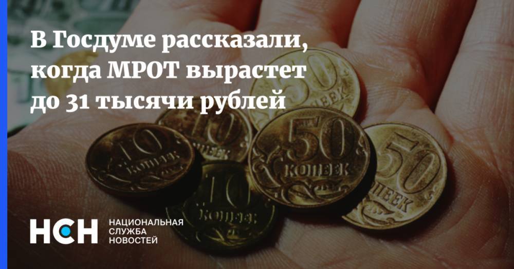 В Госдуме рассказали, когда МРОТ вырастет до 31 тысячи рублей