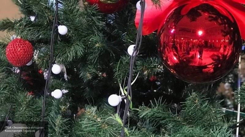 Жители Челябинской области обнаружили клещей в купленных елках
