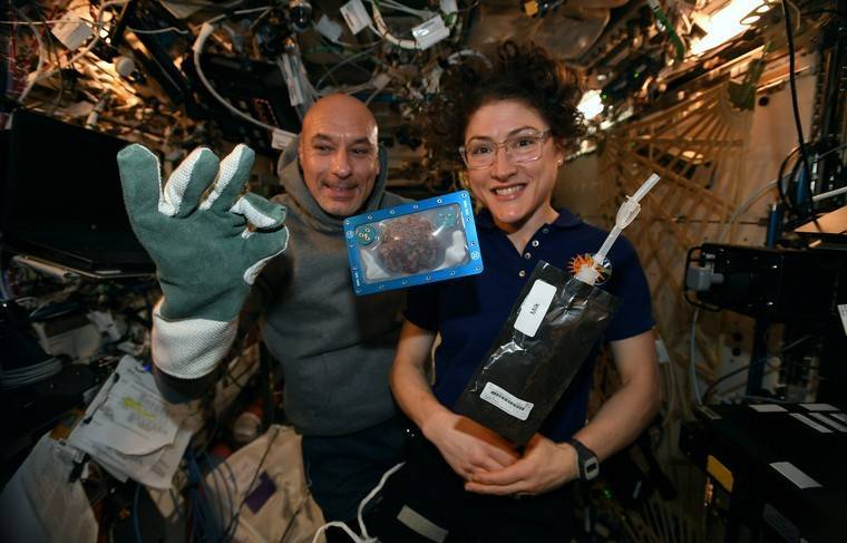 Астронавт NASA Кристина Кук установила рекорд по пребыванию в космосе