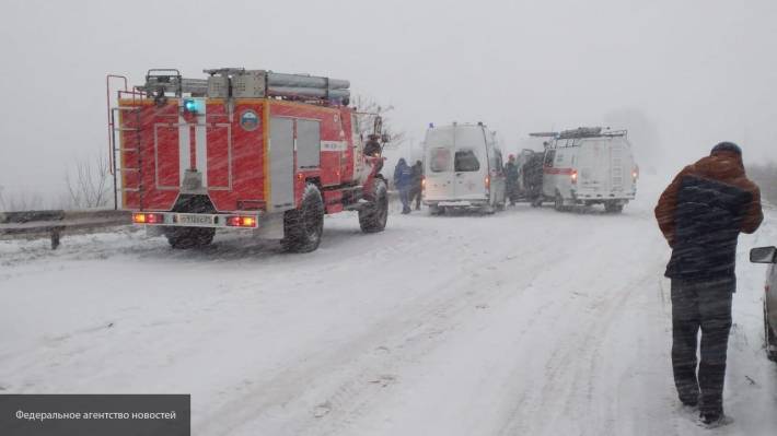 Четверо погибли в жутком лобовом столкновении двух авто в Вологодской области