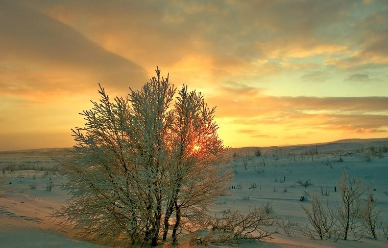 В Алтайском крае потеплеет на 30 градусов