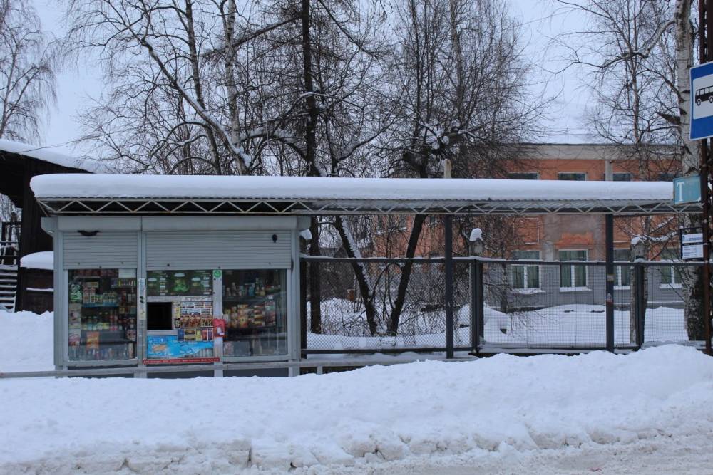 Мэрия Петрозаводска не может повлиять на регулярность рейсов в Соломенном
