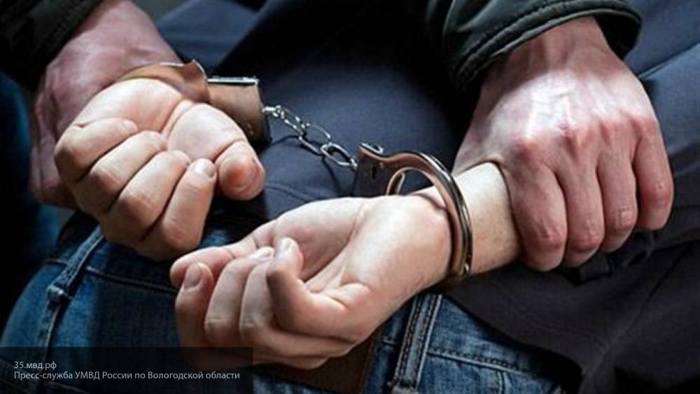 В Приморском районе Петербурга задержали грабителей