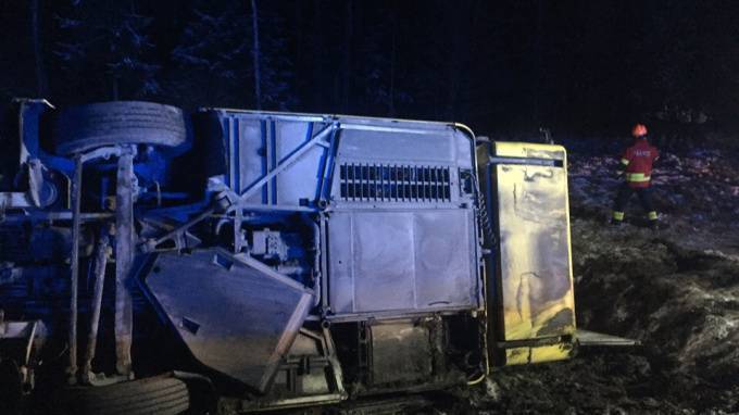 В перевернувшемся в Эстонии автобусе пострадали девять человек