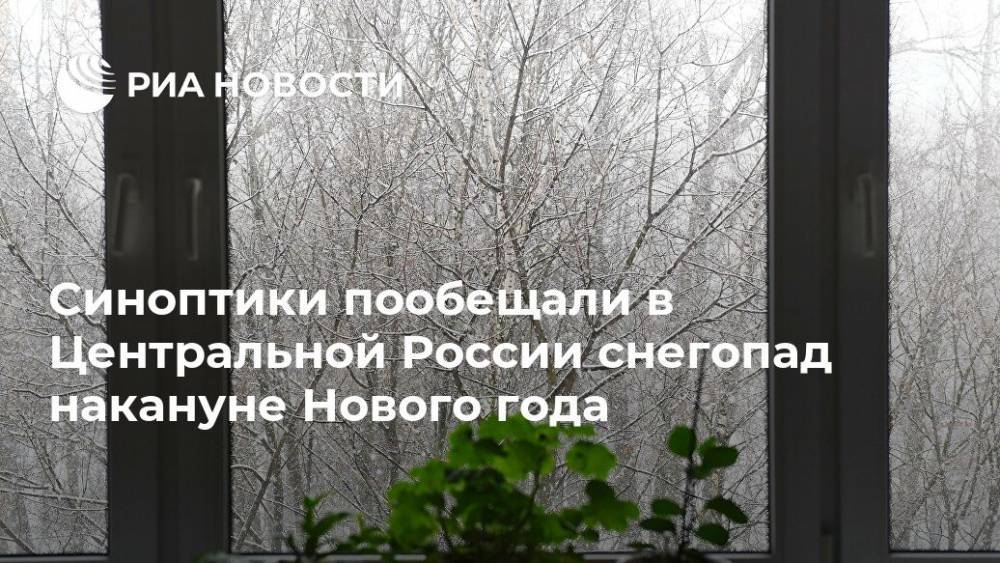 Синоптики пообещали в Центральной России снегопад накануне Нового года