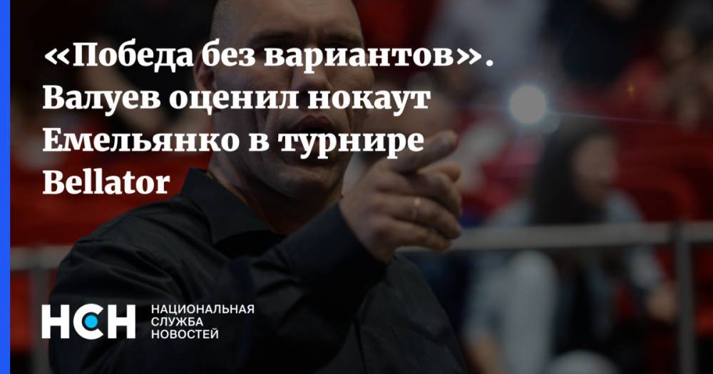 «Победа без вариантов». Валуев оценил нокаут Емельянко в турнире Bellator