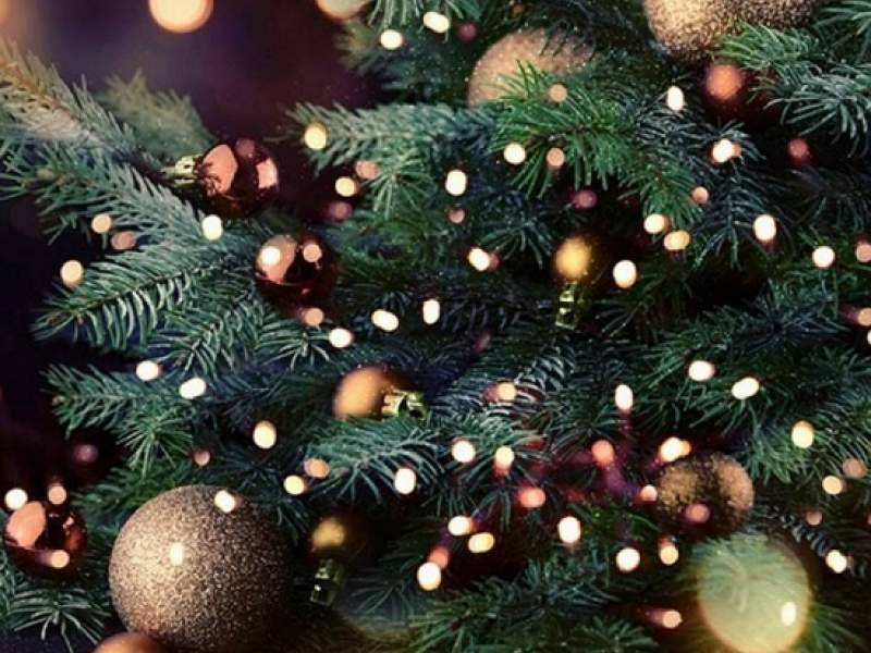 В Ульяновске ребенок умер после новогодней елки