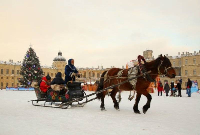 Что подарит российским городам погода на Новый год