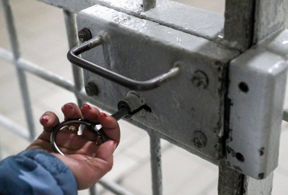 В Беларуси россиянина приговорили к 17 годам колонии за контрабанду 290 килограммов гашиша