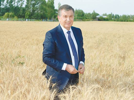 Как новый президент Мирзиёев управляет Узбекистаном