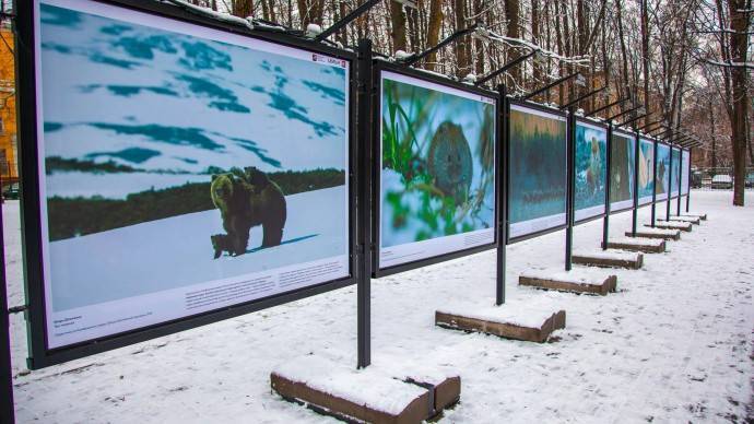 В парках Москвы откроются бесплатные выставки