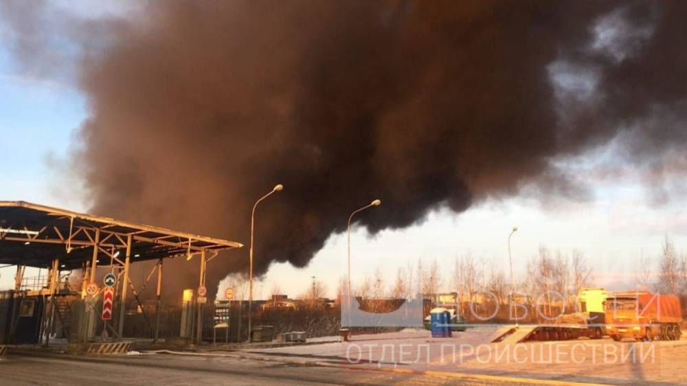 Появилось видео последствий крупного пожара в Шушарах