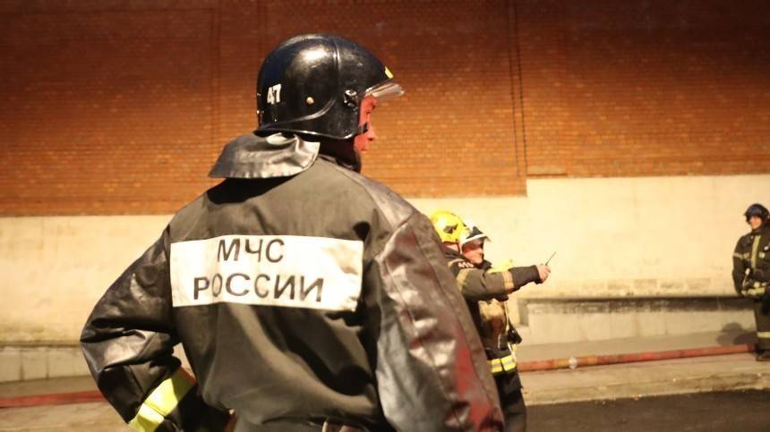 Шокирующие кадры с коптера мощного пожара под Петербургом на площади в 12 тысяч квадратов