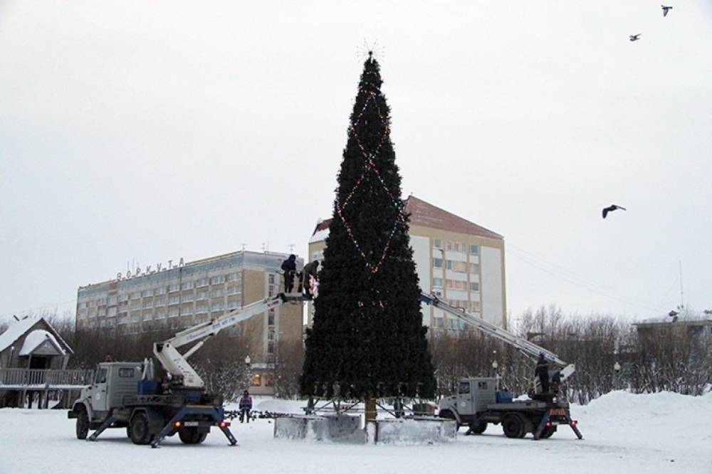 В Петрозаводске поставят восемь живых и шесть искусственных елок