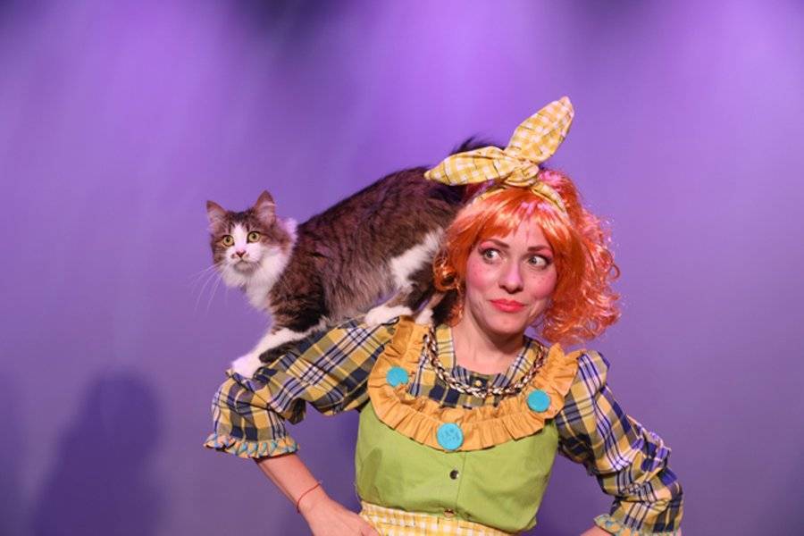Театр Куклачева приглашает на новогоднюю сказку "Как коты спасли Федору"