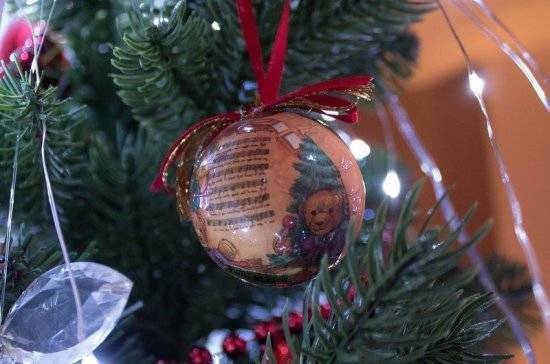 Главную новогоднюю ель страны привезут в Москву 15 декабря