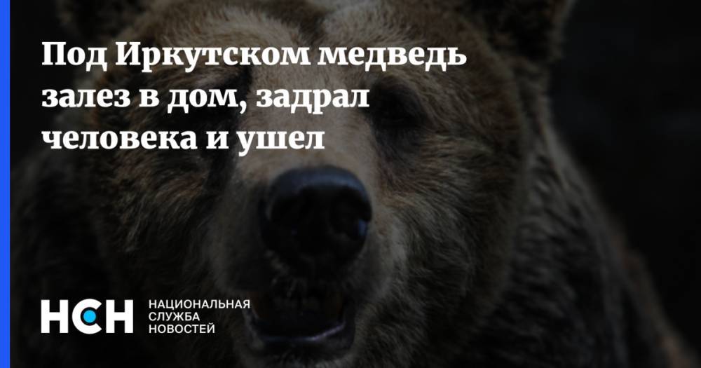Под Иркутском медведь залез в дом, задрал человека и ушел