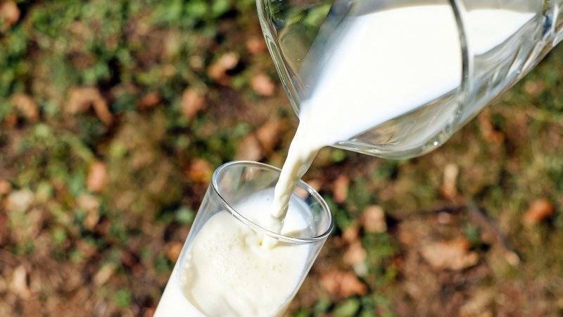 Британские общественники предупредили о вреде «вегетарианского» молока