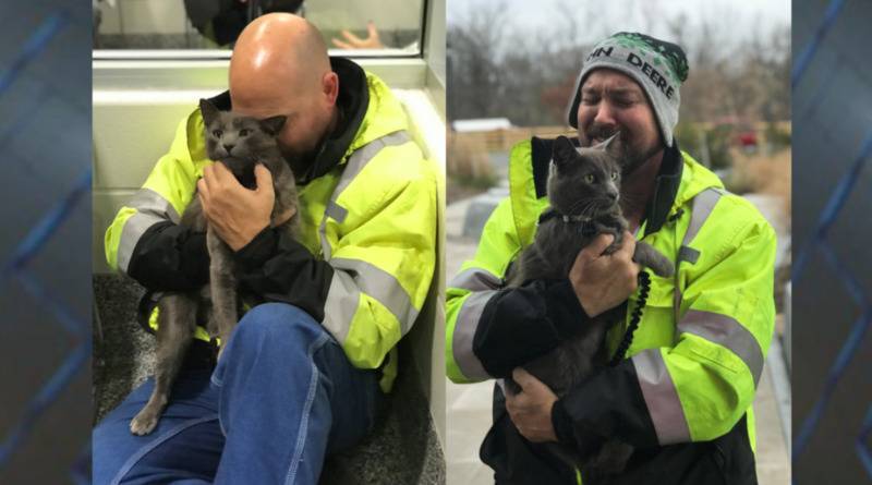 Суровый дальнобойщик не смог сдержать слез, когда обнял своего кота, пропавшего 5 месяцев назад (фото)