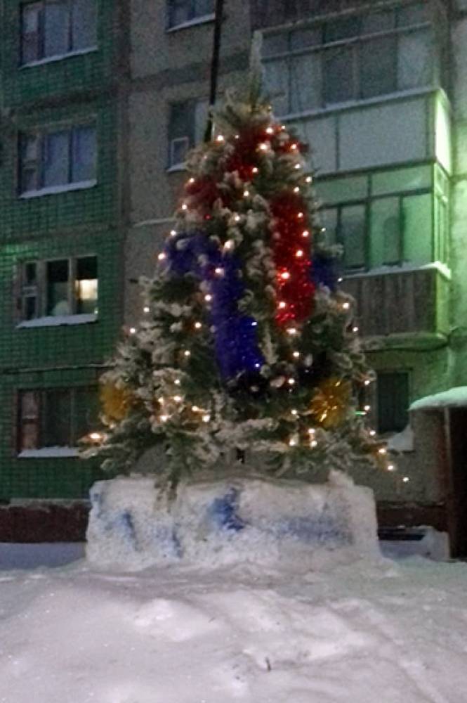 Депутат Горсовета Воркуты подарил жителям Комсомольского новогоднюю елку