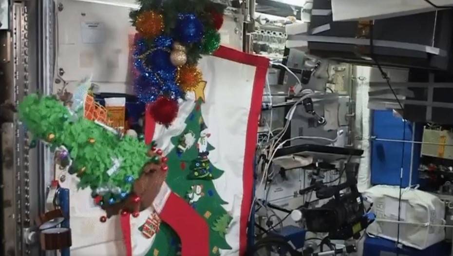 Космонавты нарядили новогоднюю елку на МКС