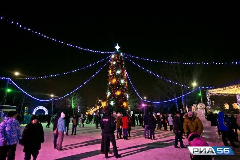 Депутат Госдумы предложил создать «новогодние визы» для иностранцев