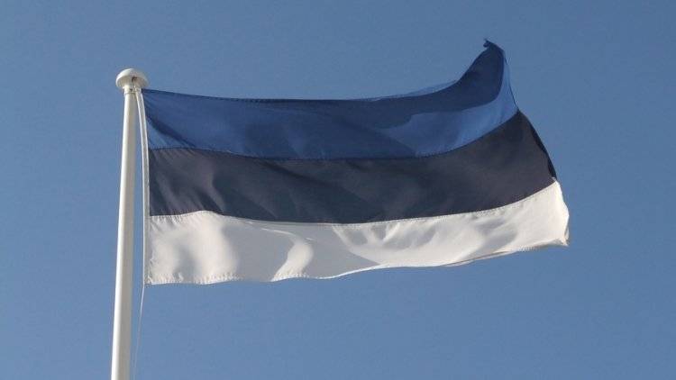 Нападки эстонских властей на Sputnik наносят ущерб журналистской солидарности — эксперт