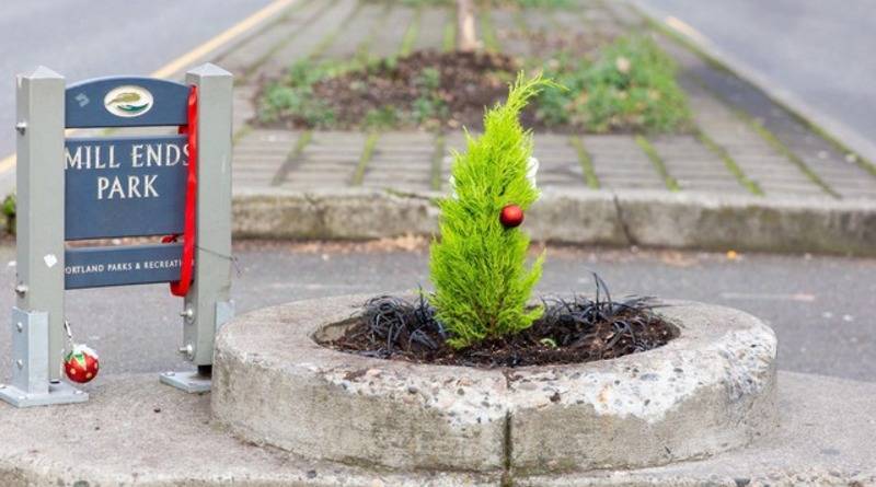В самом маленьком парке в мире посадили новое дерево после того, как украли единственное