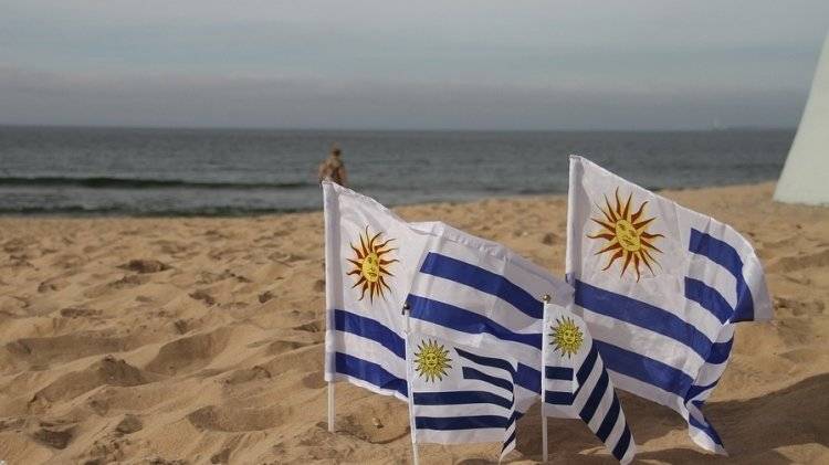 Президент Уругвая объявил в стране режим ЧС из-за растущего числа убийств женщин