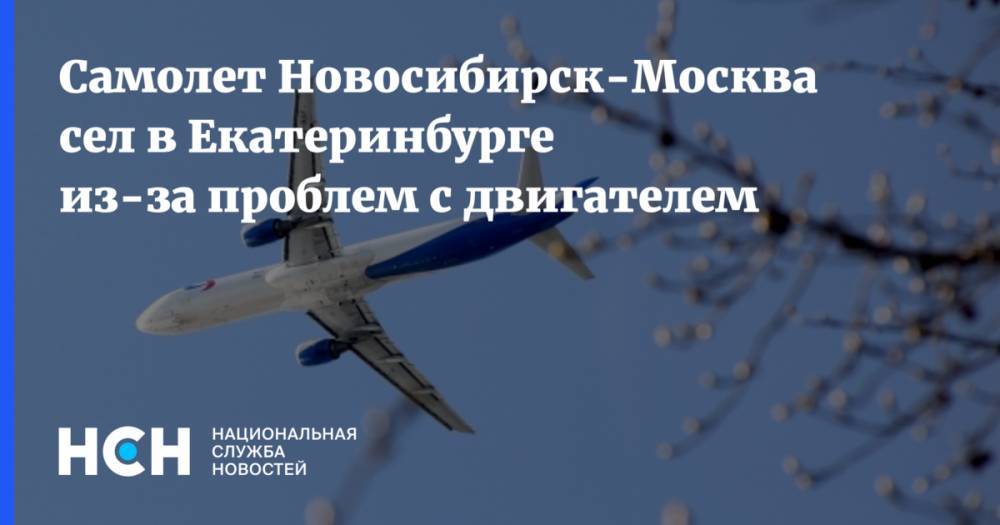 Самолет Новосибирск-Москва сел в Екатеринбурге из-за проблем с двигателем