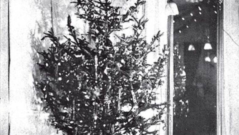 Томас Эдисон - Фото дня: так выглядела первая в мире елка, украшенная электрическими лампочками - newizv.ru - США - Нью-Йорк